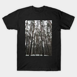 snowy forest beautiful treetops T-Shirt